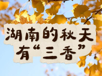 湖南的秋天，有“三香”