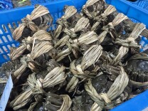 为什么每年蟹季都传大闸蟹“崩盘”？长三角蟹老板讲透行业阵痛