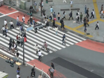 今年前9个月中国内地访日游客数量同比下降55.5%