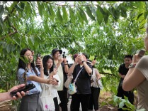 台湾媒体人：湖南之行收获满满，期待两岸加强农业交流