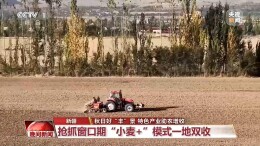 全国秋粮大面积收获进行时！各地特色产业助农增收