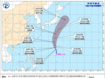 “蔷琵”逼近，浦东、虹桥等29座机场或将受扰