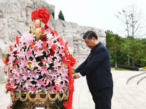 一见·答好草地之问