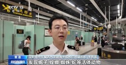 打击走私违法 西九龙站口岸截获有毒“异宠”398只