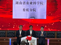 湖南省农业科学院娄底分院揭牌成立