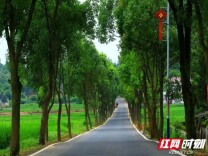 常德两条公路上榜“湖南省最美农村路”
