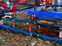 “大闸蟹价格暴跌”上热搜！是真的吗？记者探访新发地——