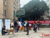 党群连心，守护萌宠——渌口区古镇社区开展免费犬只狂犬疫苗接种活动