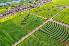 湖南日报特稿｜到南县，去找北！看农文旅体康融合发展的南县实践