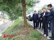 向世聪调研黑臭水体整治工作