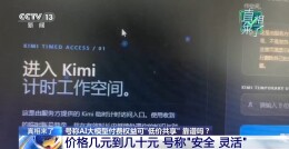 真相来了丨AI大模型付费权益“低价共享”靠谱吗？