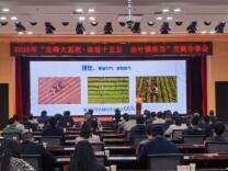 “先锋大思政·奋进‘十五五’ 金叶强担当”交流分享会举行
