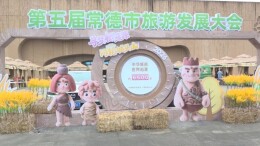 澧县特色好物集结城头山