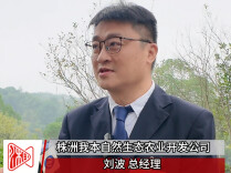 芦淞区人大代表谈农业发展：将联农助农，一起把白关丝瓜越做越好