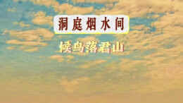 洞庭烟水间，候鸟落君山丨湖南真美