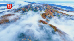 周末·赏秋丨秋已深，叶正红！这些地方最美秋色已上线