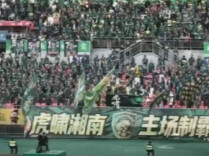 视频丨绿茵赴约，以球会友