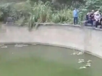 广西通报“水柜漂浮猴子”：系猴群饮水不慎溺亡 现柜内已投放攀爬物