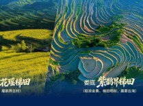 湖南10条秋游精品线路发布，承包你的整个秋天
