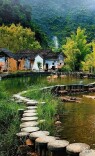 诗以境胜——贺夏盛《寸心集》序