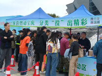 趣味投壶学分类  解锁绿色观赛新玩法
