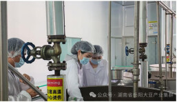小豆干“卤”出新花样，岳阳大豆产业集群加工研发有新动作