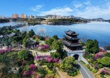 南湖美不美，镜头说了算｜“天下岳阳·南湖美”摄影大赛征稿中