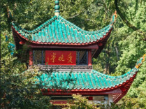 在“湘江”中，与你相见丨湘江副刊·潮头