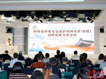 共探老街活化新路径 湖南历史文化保护利用片区（街区）创新发展交流活动举行