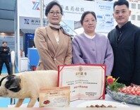秋冬进补 湖南人又有新吃法！猪肉卷也能做成养生药膳？