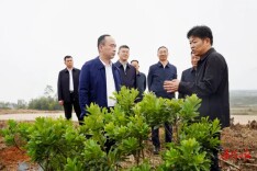 唐浩然赴湘阴县调研乡村振兴工作