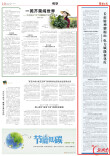 长征精神耀梅山 电力赋能新化红|湖南日报