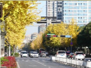 冷空气兵分两路接力登场 降温日历看哪里气温或创下半年来新低