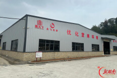 新化县枫林街道大水坪村：干群同心筑新路 凝心聚力兴产业