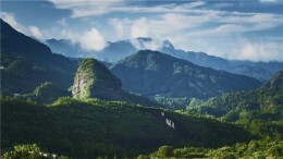 壶瓶山，是湖南野果的王国，更是中草药宝库