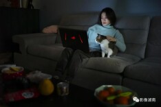 阿娇和她的流浪猫