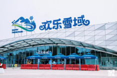 双十一来这里，五个步骤教你脱单！