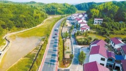 打造精美浏阳——浏阳市住房和城乡建设局推动住建事业高质量发展纪实