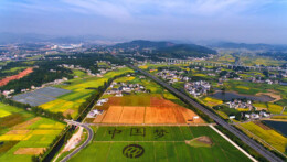 中办国办印发《乡村建设行动实施方案》