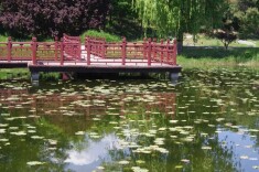 解读《“十四五”城市排水防涝体系建设行动计划》：重排查、补短板、强规划、增韧性