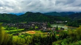 散文丨安如好：高椅村·梅花阵