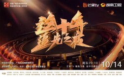 追光者的奋斗群像 有温度的时代影像——评《这十年·追光之夜》