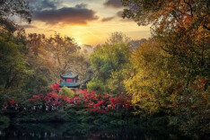 岳麓山赏枫季来了！第十六届岳麓山红枫节将于11月20日盛大启幕！