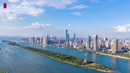 内参酒【13526父爱箴藏馆】，敬献天下父亲