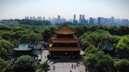 来岳阳楼，打卡洞庭青砖茶有惊喜！