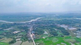 聂市镇：青山碧浪飘茶香  农旅融合续华章