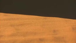 湘宁携手助力乡村振兴 “宁夏盐池滩羊”抖音直播专场火爆开启