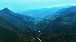 茅坪镇：田畴沃野织锦绣 “农”墨重彩著华章