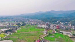 高桥镇：青山碧水春风起 文旅璀璨开新局