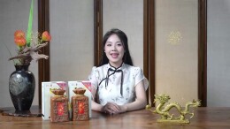 甲辰龙腾庆盛世，开盖扫码赢内参！